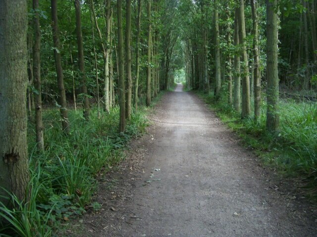 Foto “Perry” tomada por Shaun Ferguson (CC BY-SA); recorte de la original