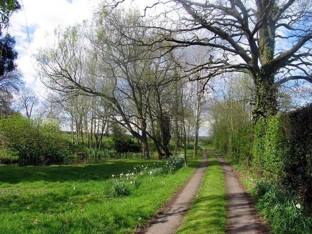 Little Meadows: Headley. This driveway and pond is situated in the north western section of the square, north of the road that runs across the square from west to east and quite close to the edge of the square. The pond is marked on the ordnance map.