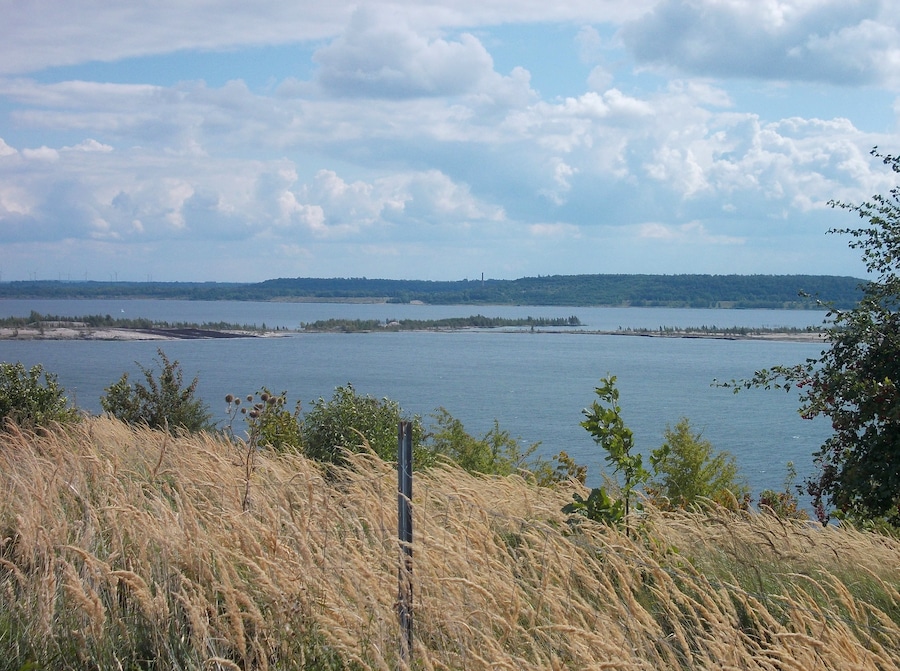 View of Geiseltal Lake (district: Saalekreis, Saxony-Anhalt) from the northern shore