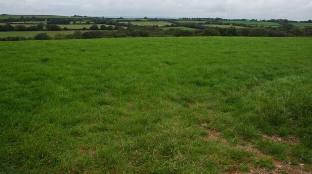 Billede "Roborough" af Philip Halling (CC BY-SA) / beskåret fra det originale billede