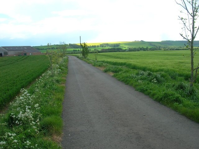 "Muston"-foto av JThomas (CC BY-SA) / Urklipp från original