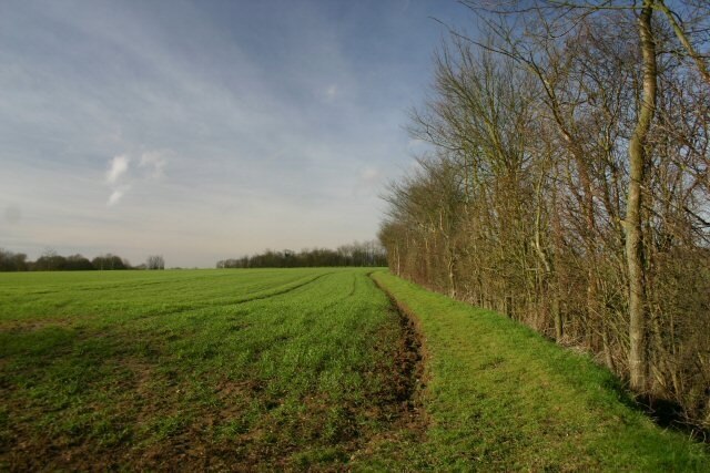 Foto "Wetherden" de Bob Jones (CC BY-SA) / Recortada do original