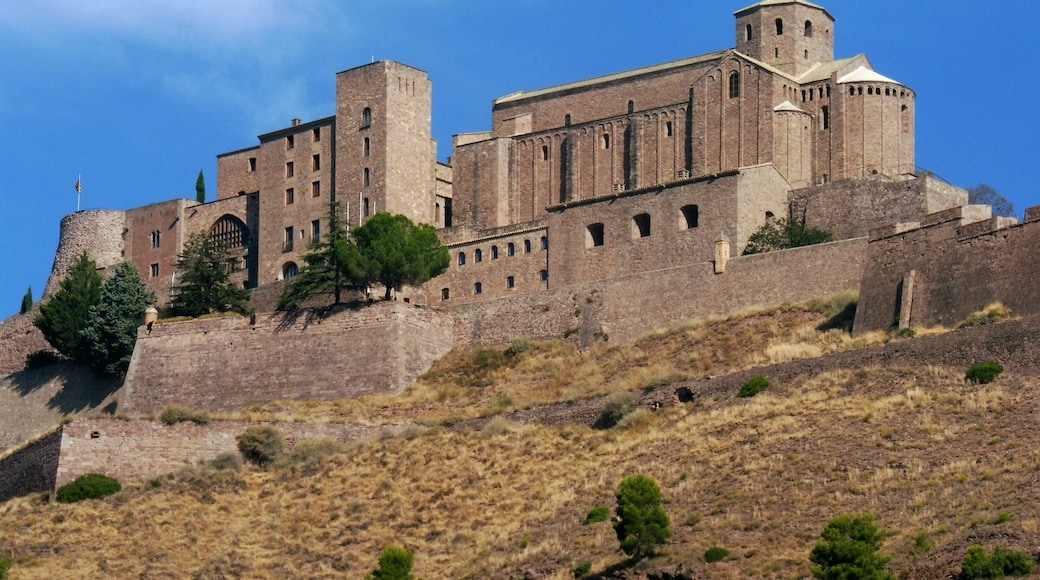 "Cardona fästning"-foto av Isidre blanc (CC BY-SA) / Urklipp från original