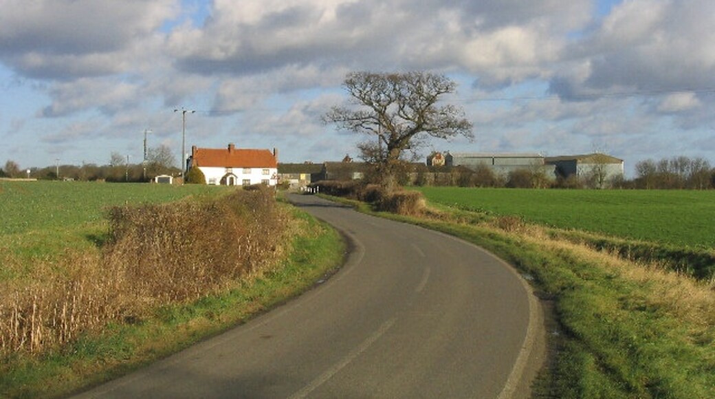 Kuva ”Mashbury” käyttäjältä John Winfield (CC BY-SA) / rajattu alkuperäisestä kuvasta