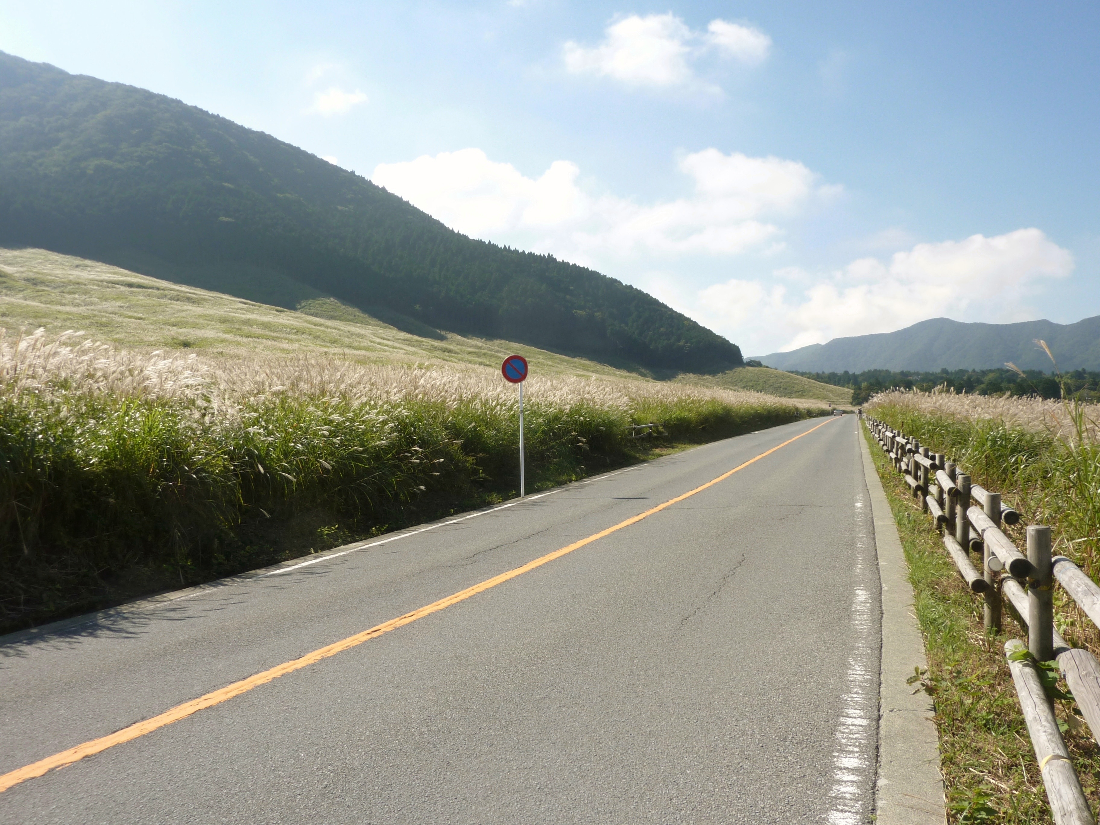 Sengokuhara Susuki-grasvelden