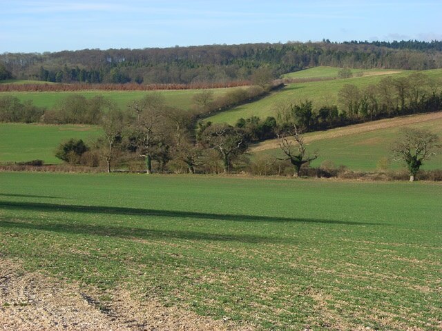 Photo "Fawley" by Andrew Smith (CC BY-SA) / Cropped from original