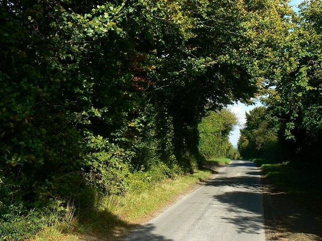 Cholderton Road, near Grateley The road is quite narrow. It doesn't go anywhere in particular.