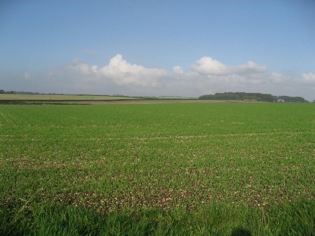 Photo "Kirby Underdale" by Roger Gilbertson (CC BY-SA) / Cropped from original