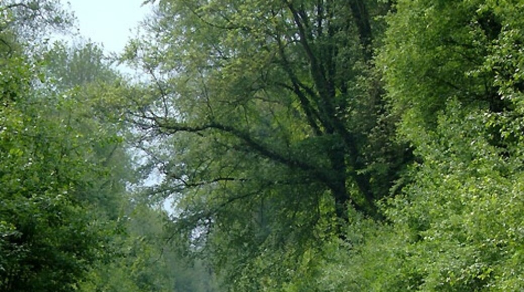 Foto „Sutton Upon Tern“ von Roger Kidd (CC BY-SA)/zugeschnittenes Original