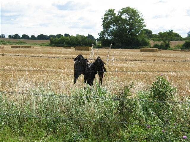 "Thornton Bridge"-foto av Johnny Durnan (CC BY-SA) / Urklipp från original