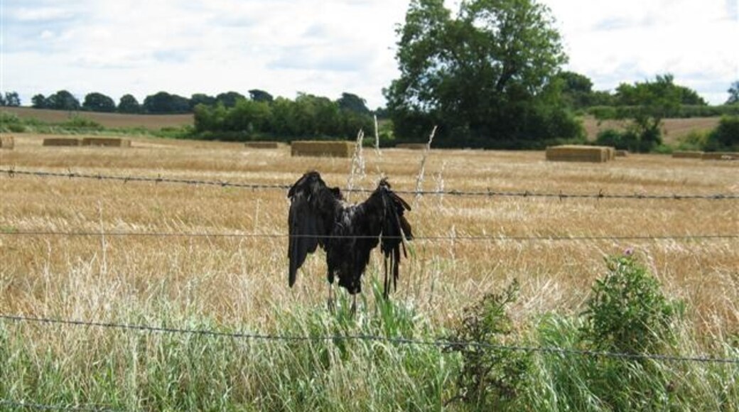 Billede "Thornton Bridge" af Johnny Durnan (CC BY-SA) / beskåret fra det originale billede