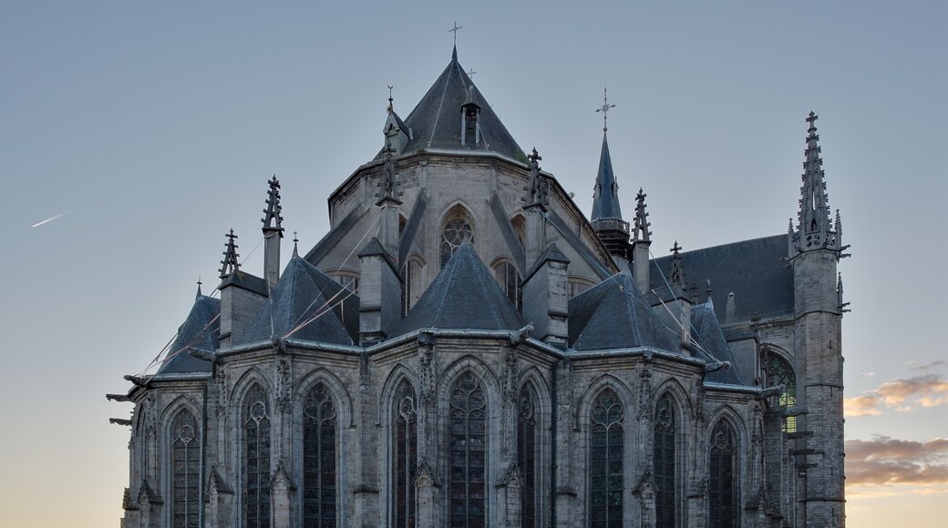Sainte Waudru Collegiate Church, Mons, Walloon Region, Belgium