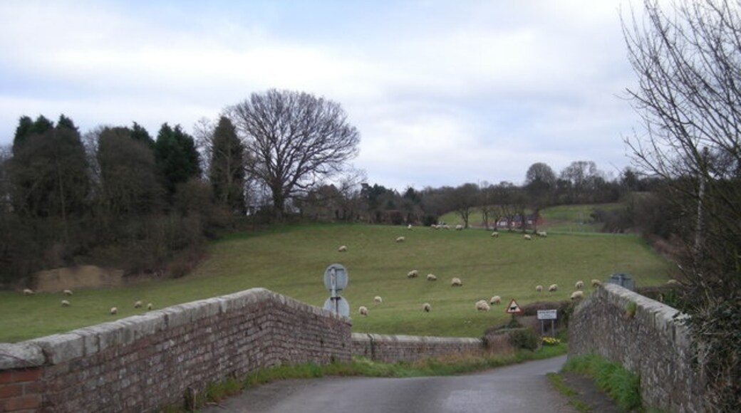 Photo "Sheinton" by Row17 (CC BY-SA) / Cropped from original