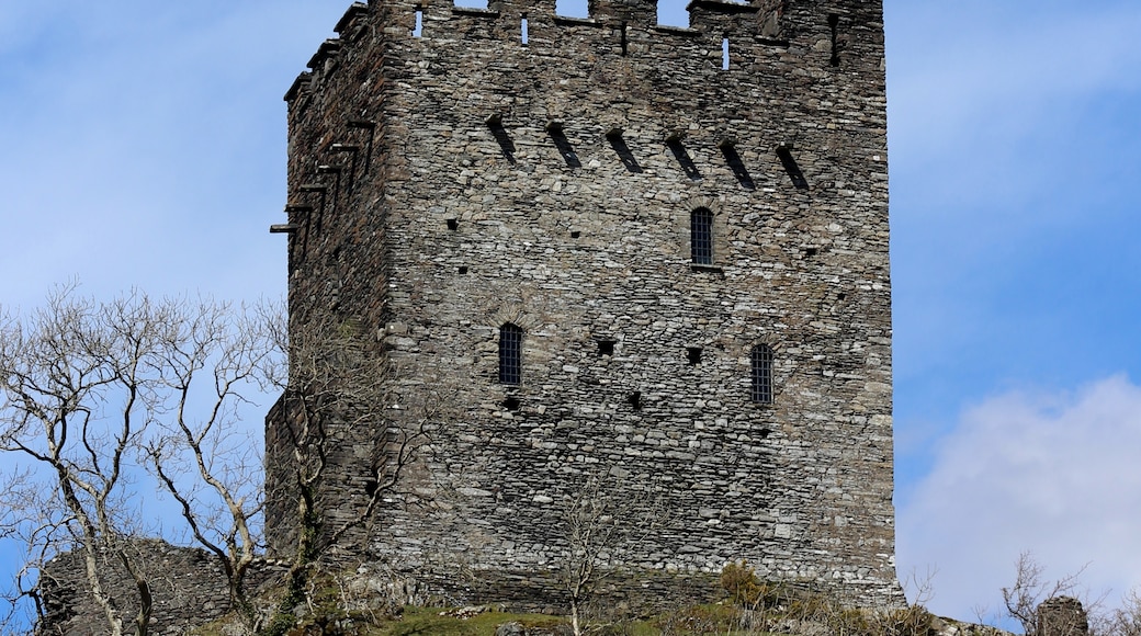 Foto "Castelo de Dolwyddelan" de Martinvl (CC BY-SA) / Recortada do original