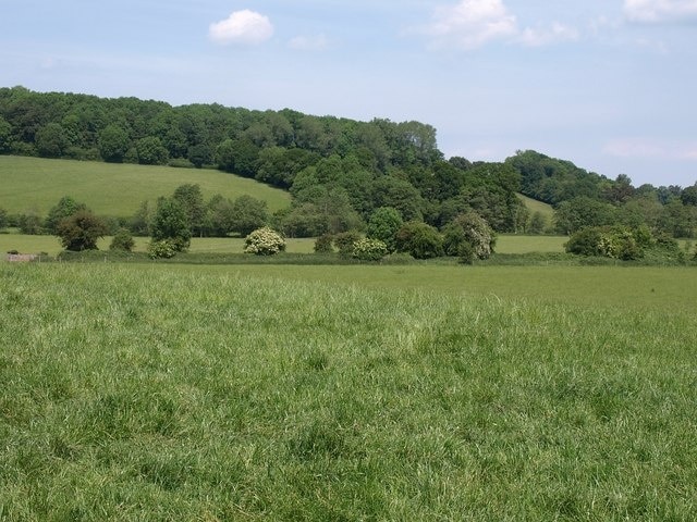 Tone valley. A view from the lane shown in 1350385. The lane rises abruptly on the north side of the River Tone, with Harpford Wood on the crest of the hill.