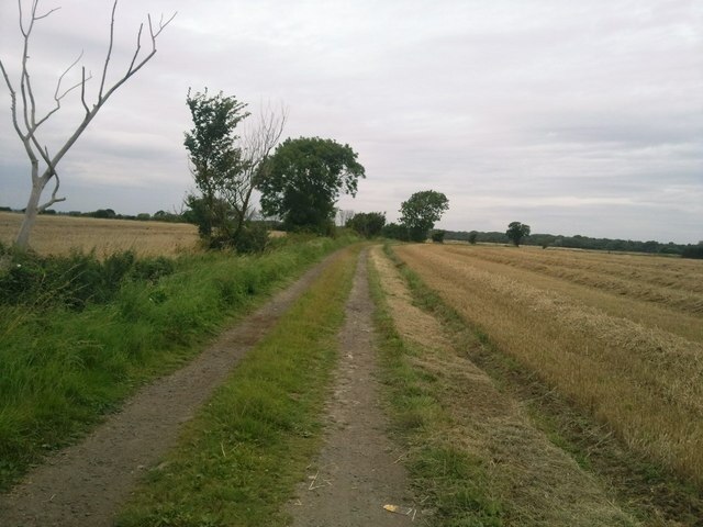 Photo "West Haddlesey" by Glyn Drury (CC BY-SA) / Cropped from original