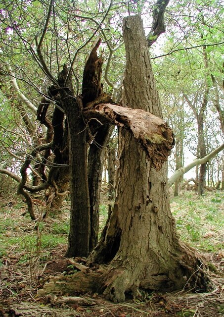 Photo "East Garton" by Paul Glazzard (CC BY-SA) / Cropped from original