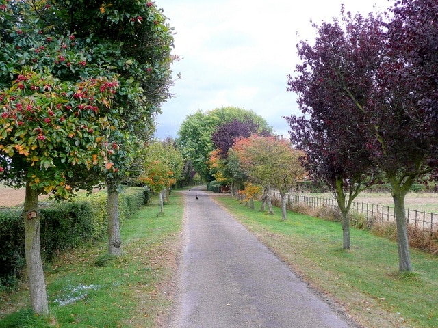 Billede "Wormington" af Jonathan Billinger (CC BY-SA) / beskåret fra det originale billede