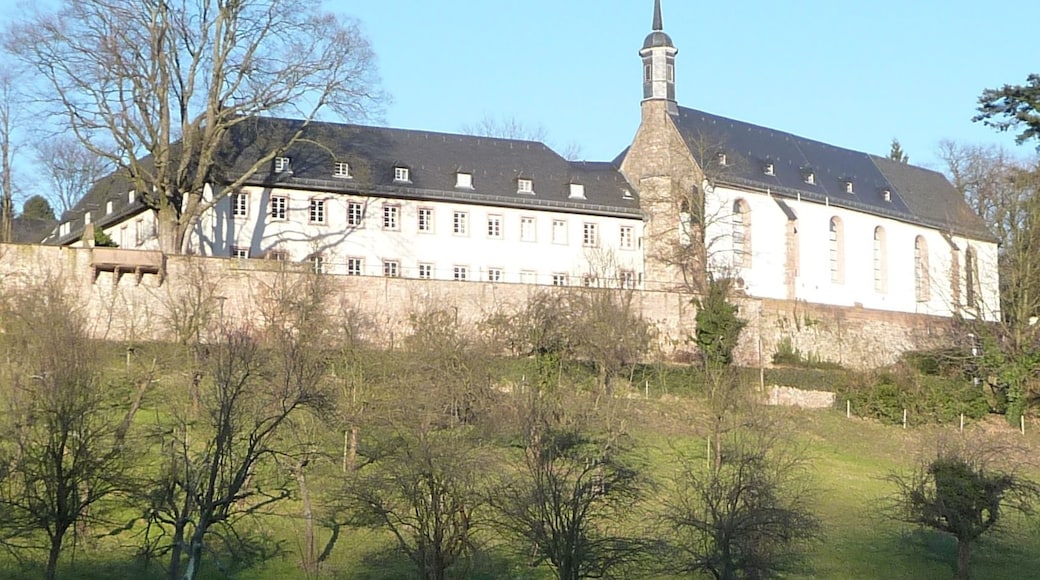 « Ziegelhausen», photo de Immanuel Giel (CC BY) / rognée de l’originale