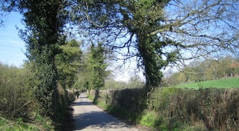 Belsize: Flaunden Lane Looking towards Flaunden village.