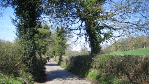 Photo "Flaunden" by Nigel Cox (CC BY-SA) / Cropped from original