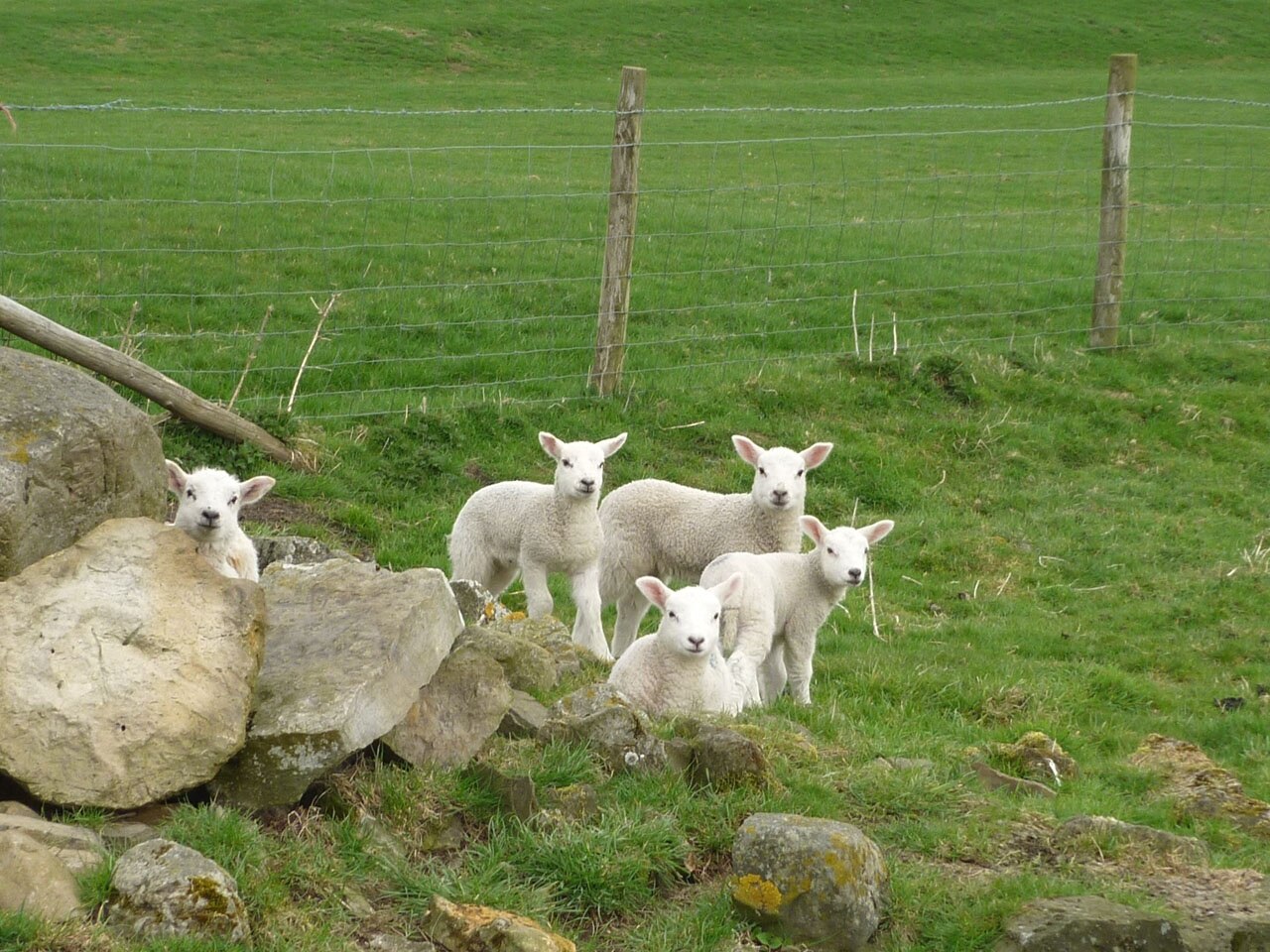 "Melmerby"-foto av Karl and Ali (CC BY-SA) / Urklipp från original