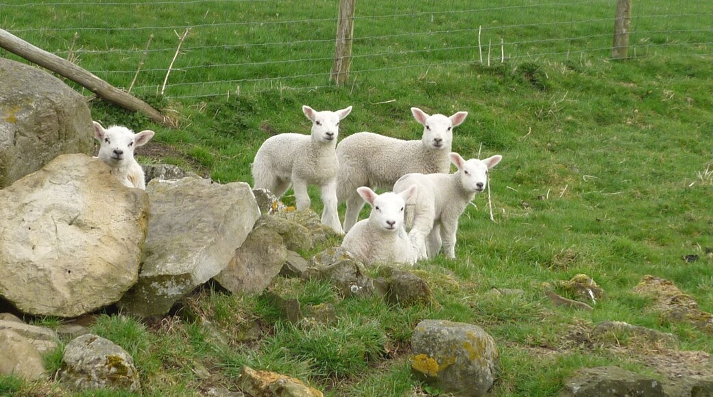 "Melmerby"-foto av Karl and Ali (CC BY-SA) / Urklipp från original