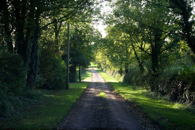 Foto „Carlton Scroop“ von Kate Jewell (CC BY-SA)/zugeschnittenes Original