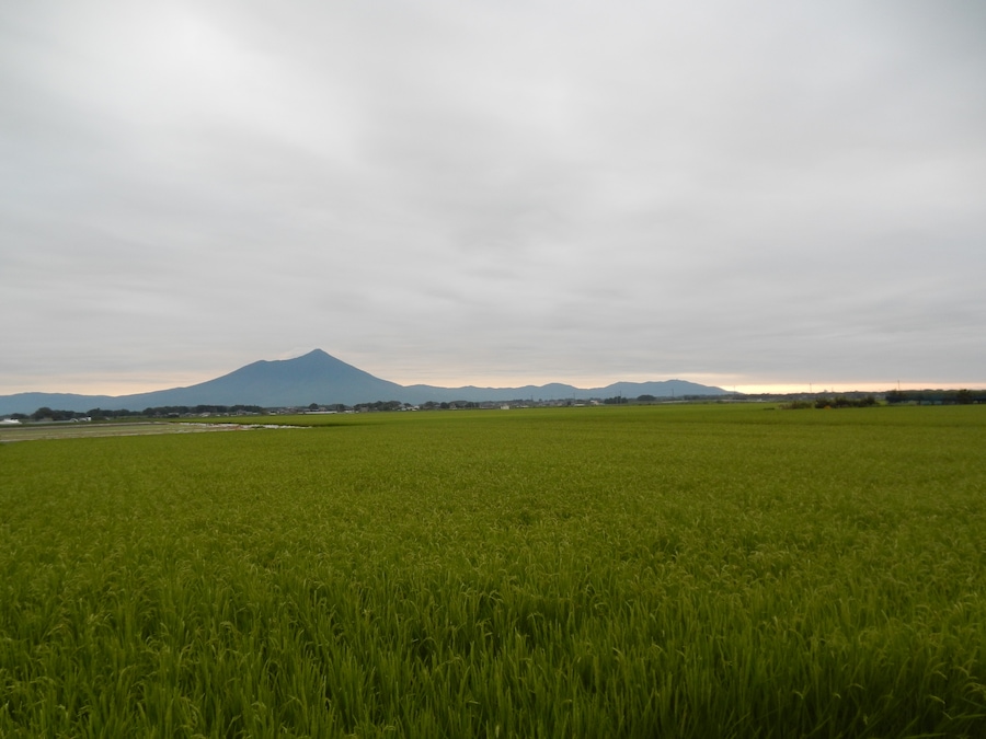Shitamiya, Shimotsuma, Ibaraki Prefecture 304-0013, Japan