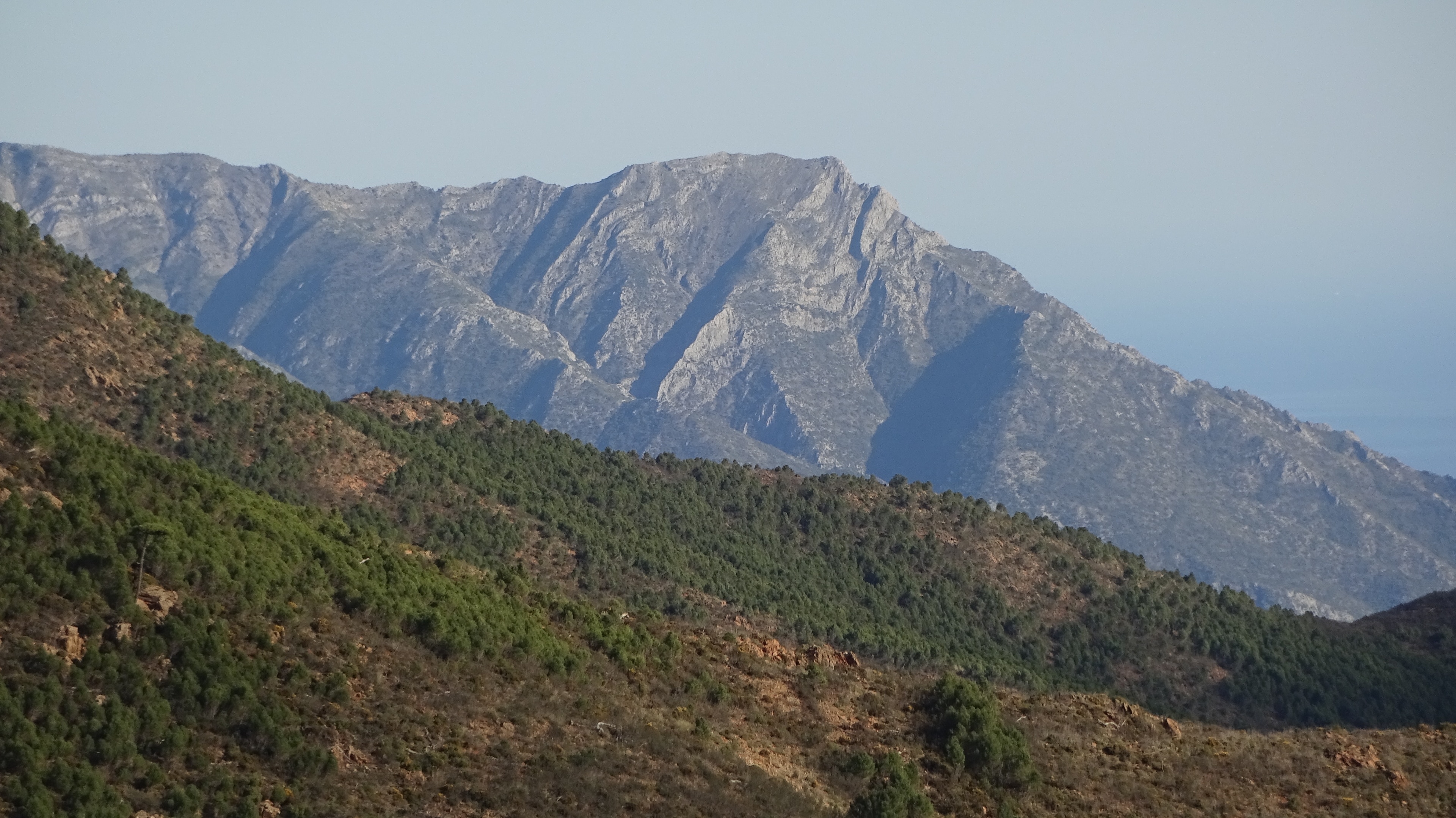 Photo "<h2>Top places to stay in Benahavis with breakfast</h2>" by Yabedanie (page does not exist) (CC BY-SA) / Cropped from original