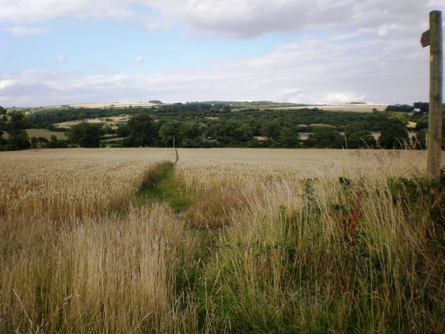 Photo "Yapham" by Dr Patty McAlpin (CC BY-SA) / Cropped from original