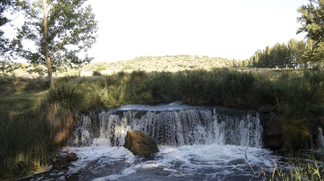 Photo "Viana de Jadraque" by José Ibáñez (CC BY) / Cropped from original