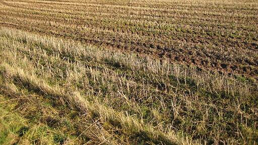 Foto “Tretire con Michaelchurch” tomada por Pauline Eccles (CC BY-SA); recorte de la original