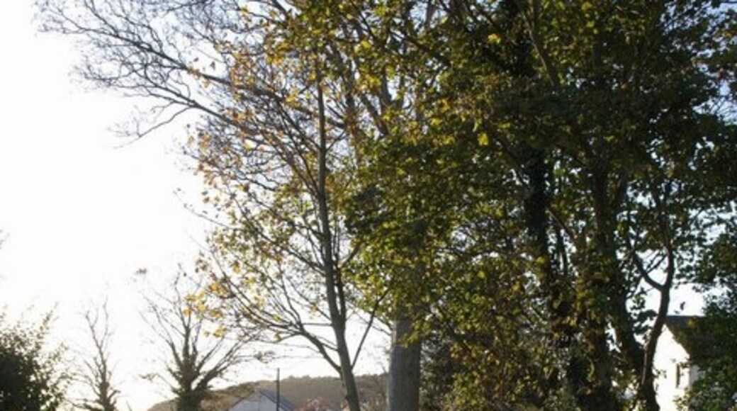 Billede "Newton Tracey" af Derek Harper (CC BY-SA) / beskåret fra det originale billede