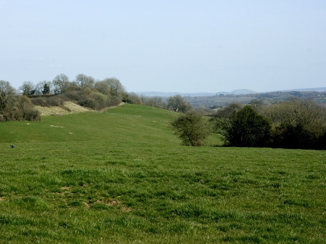 Pasture on Pitcot Lane Looking south of east. An ancient earthwork or tumulus is at the top of the hill to the left, Cley Hill ST8344 is in the distance to the right.