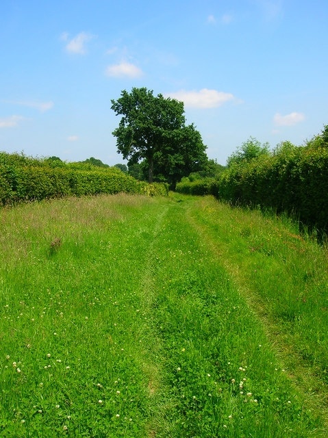 Green Lane near Great Ote Hall Carrying the footpath from Great Ote Hall to Wivelsfield.