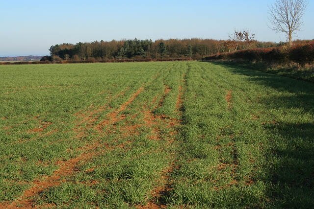 Foto „Normanton“ von Kate Jewell (CC BY-SA)/zugeschnittenes Original