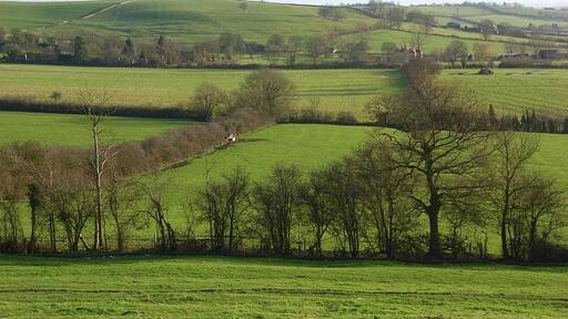 « Quainton», photo de Andrew Smith (CC BY-SA) / rognĂ©e de lâoriginale