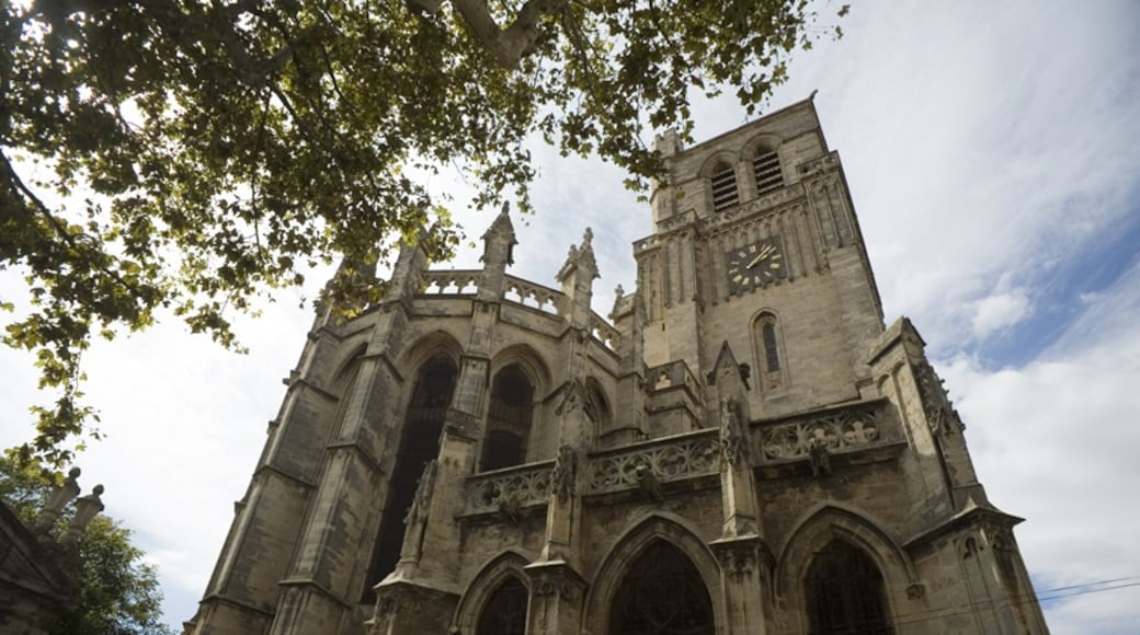 Foto „Kathedrale Saint-Nazaire von Béziers“ von PMRMaeyaert (CC BY-SA)/zugeschnittenes Original