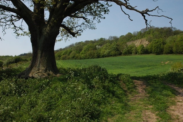 "Astley and Dunley"-foto av Philip Halling (CC BY-SA) / Urklipp från original