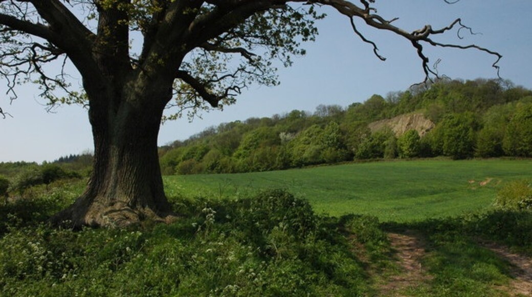 "Astley and Dunley"-foto av Philip Halling (CC BY-SA) / Urklipp från original