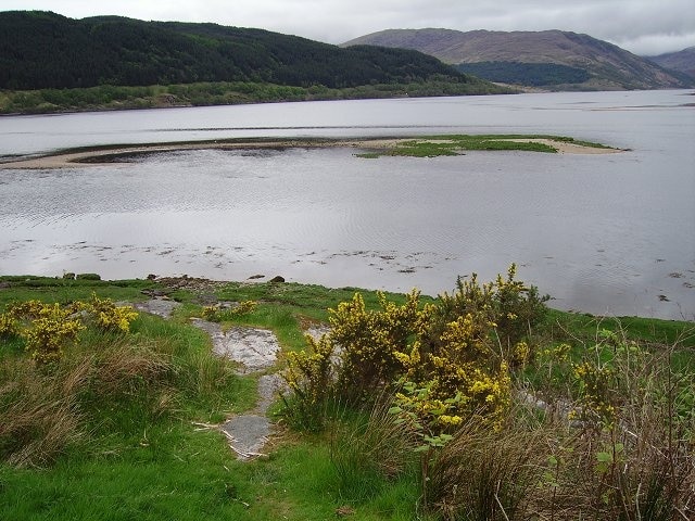 Mouth of the Strontian. Aluvial deposits where the Strontian River reaches Loch Sunart at high tide. The dry area is being used as a nesting site by gulls (don't know which species).