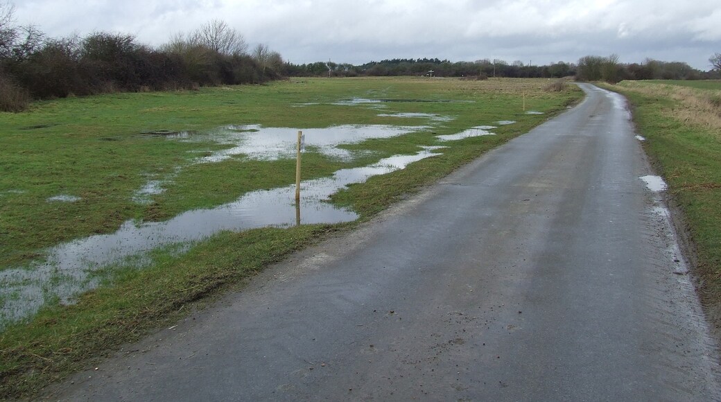 Photo "Shelfanger" by Keith Evans (CC BY-SA) / Cropped from original