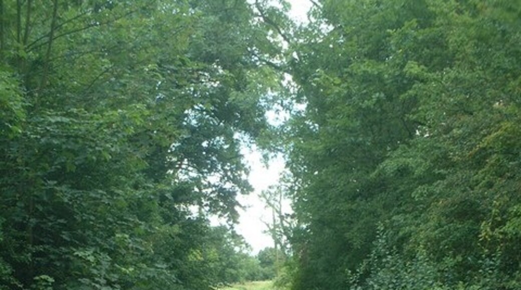 "Wythall"-foto av planetearthisblue (CC BY-SA) / Urklipp från original