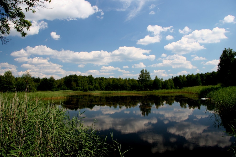 Leśny Staw