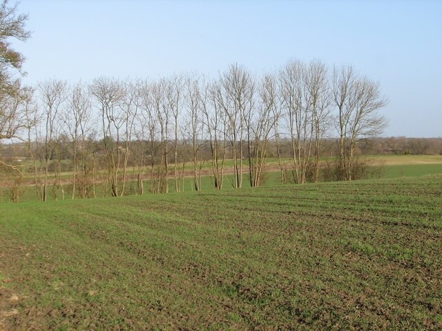 Photo "Great Eversden" by Craig Hilton-Taylor (CC BY-SA) / Cropped from original