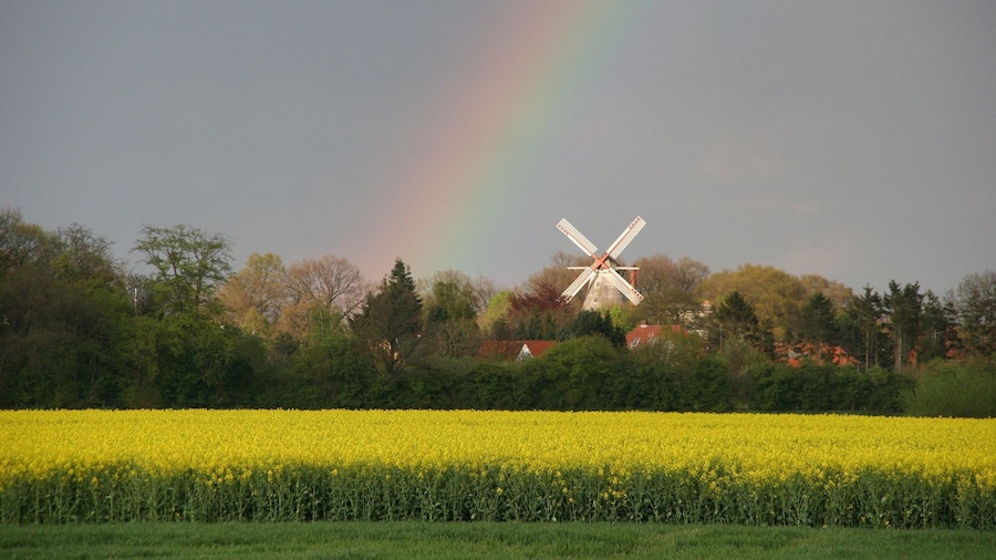 Photo "Eystruper Windmühle" by H.-N. Meiforth (Creative Commons Attribution 3.0) / Cropped from original