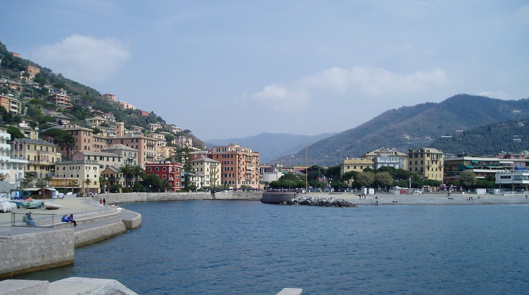 Photo "Recco" by Andrea Albini (CC BY-SA) / Cropped from original