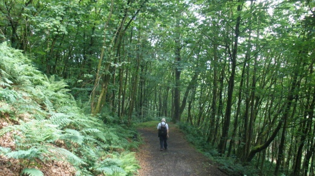 "Curland"-foto av Roger Cornfoot (CC BY-SA) / Urklipp från original