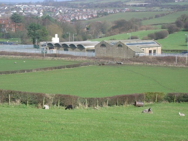 Farm land at Burrow Bridge. Sheep grazing above the West Coast railway.